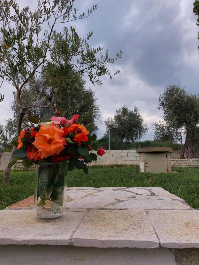 Guest House Gorani Berat Exterior photo